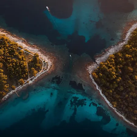 Apartment Sea Sage Mali Losinj